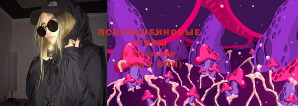 apvp Бородино