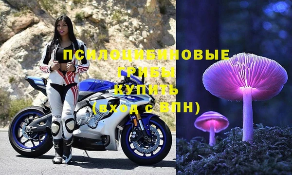 тгк Бугульма