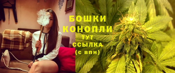 сатива Бронницы