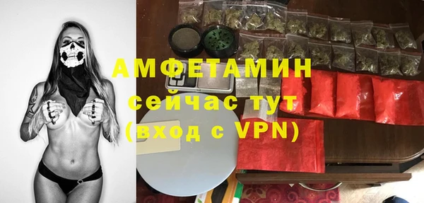 сатива Бронницы