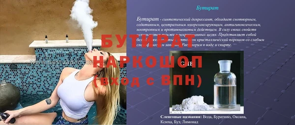 сатива Бронницы