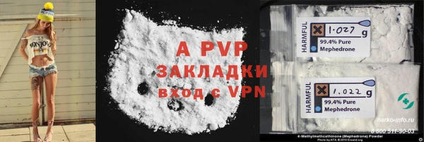 apvp Бородино